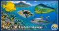 25 Types of Fish in Hawaii: Species Guide: Appearance, Food, Lifestyle, and Facts