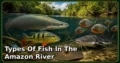 20 Types of Fish in the Amazon River: Amazing Species, Natural Habitats, and Interesting Facts