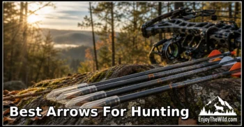 Best Arrows for Hunting: 5 Carbon Options Compared
