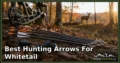 Best Hunting Arrows for Whitetail