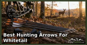 Best Hunting Arrows for Whitetail