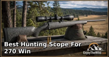 Best Hunting Scope for 270 Win: Practical Comparisons for Hunting