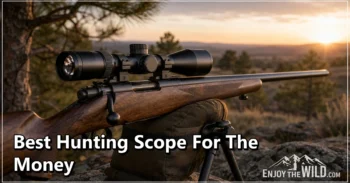 Best Hunting Scope for the Money: 17 Scopes and Optic Accessories Compared