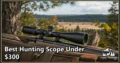 Best Hunting Scope Under $300