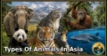 30 Types of Animals in Asia: Complete Guide to Species, Habitat, Diet, and Behavior
