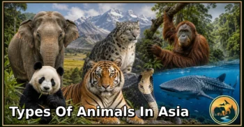 30 Types of Animals in Asia: Complete Guide to Species, Habitat, Diet, and Behavior