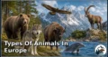 30 Types of Animals in Europe: Amazing Species, Natural Habitats, and Interesting Facts