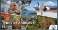 25 Types of Animals in Japan: Amazing Species, Natural Habitats, and Interesting Facts