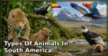 30 Types of Animals in South America: Species, Feeding Habits, Habitats, and Unique Traits